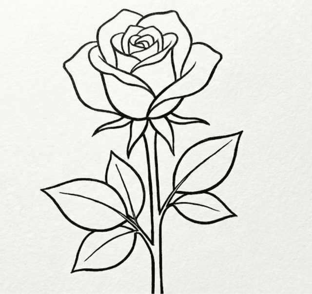 Preview image for How to Draw a Rose Easy: The "Magic Trace" Secret for Beginners
